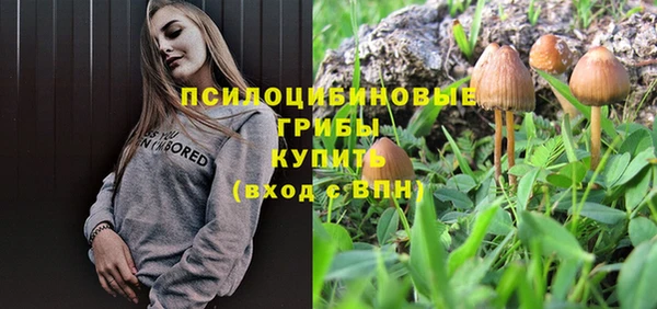 МДПВ Абдулино