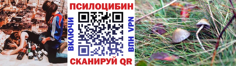сколько стоит  Якутск  Псилоцибиновые грибы Psilocybe 
